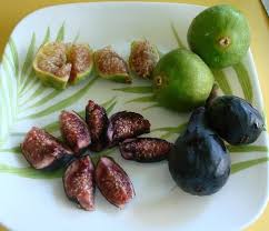 figs-3-kinds